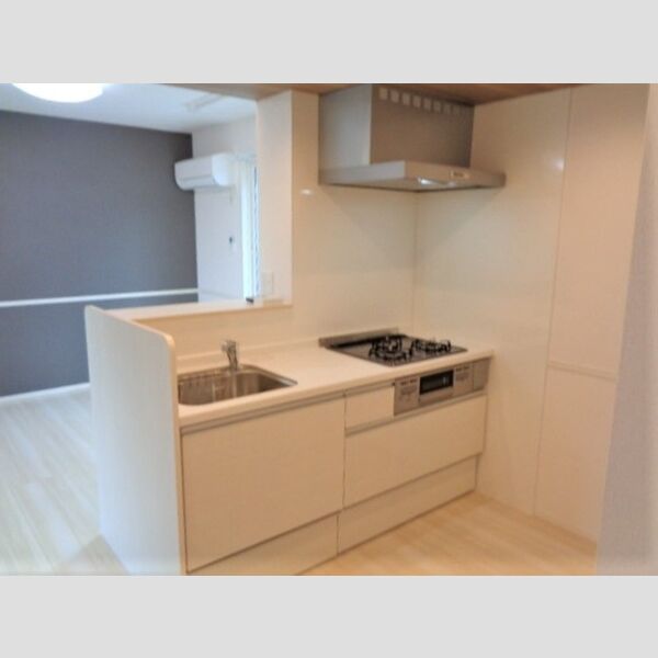 キッチン (105号室　システムキッチン)