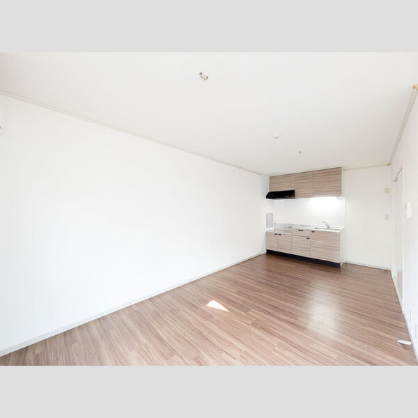 居室・リビング (101号室　LDK)