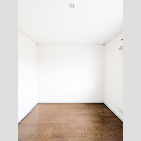 居室・リビング (101号室　洋室)