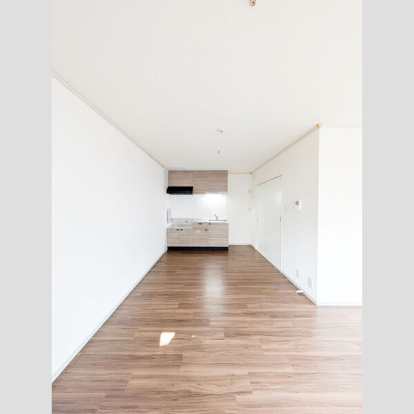 居室・リビング (101号室　LDK)