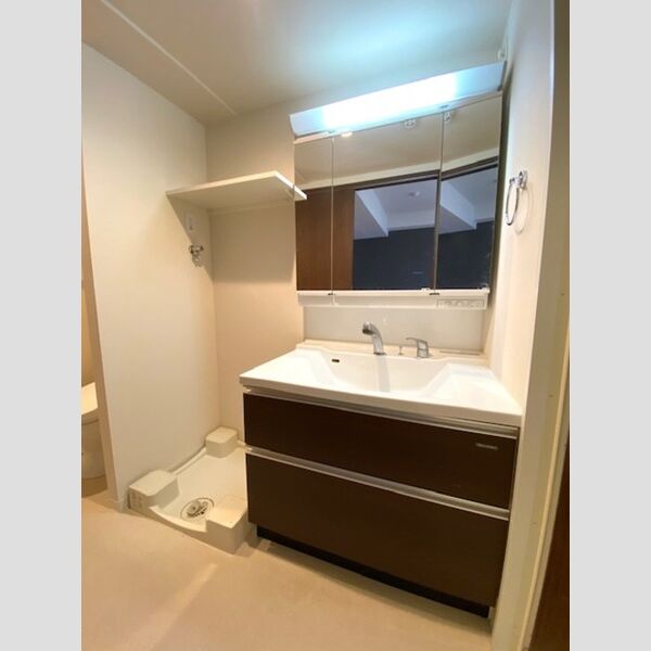 洗面所 (洗面室)