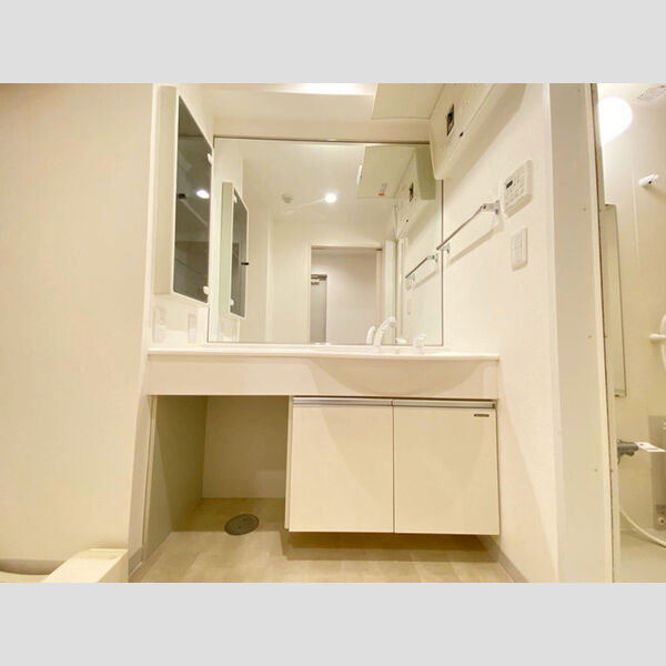 洗面所 (201号室　洗髪洗面化粧台)