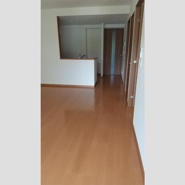 居室・リビング (108号室　LDK)