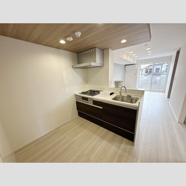 居室・リビング (201号室　キッチン、LDK)