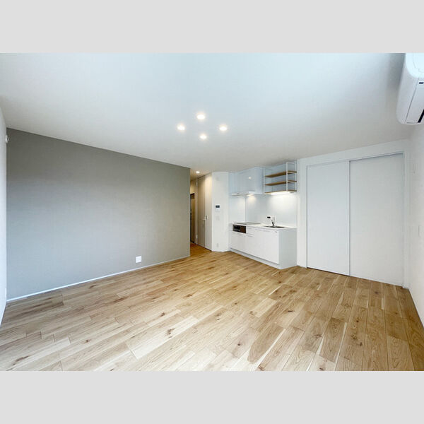 居室・リビング (5号室　LDK)