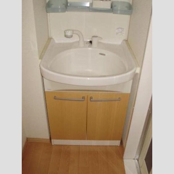 洗面所 (201号室　洗面化粧台)