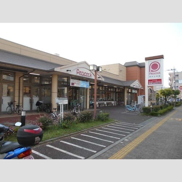 現地周辺 (peacock 玉川上水店)