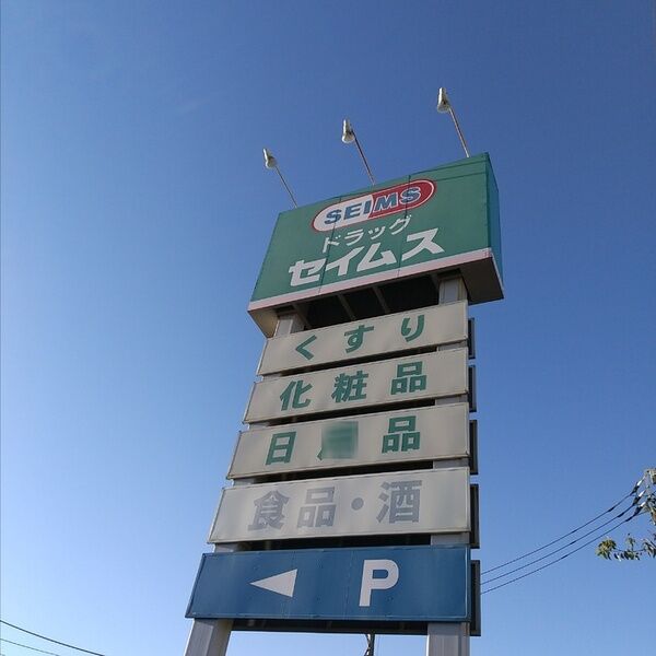 現地周辺 (ドラッグストア)
