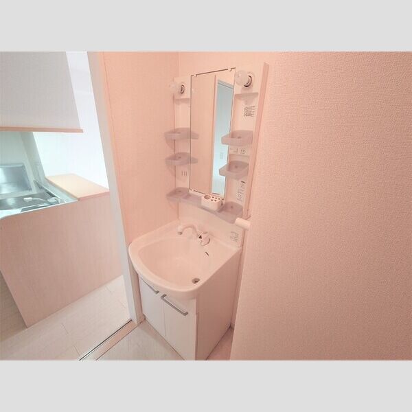 洗面所 (洗髪洗面化粧台)