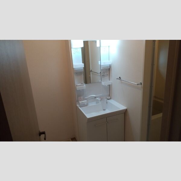 洗面所 (洗髪洗面化粧台)