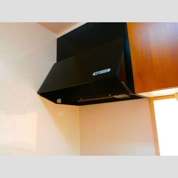 その他 (レンジフード)