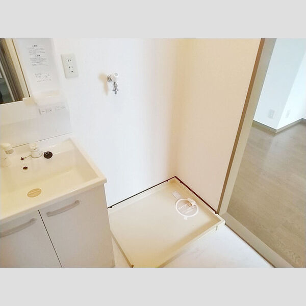 その他 (室内洗濯機置き場)