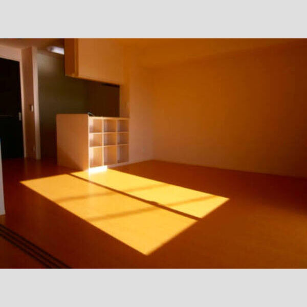 居室・リビング (202 LDK)