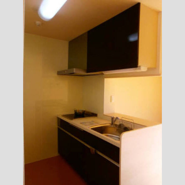 キッチン (202 IHシステムキッチン)