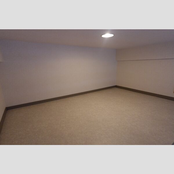 その他 (小屋裏収納)