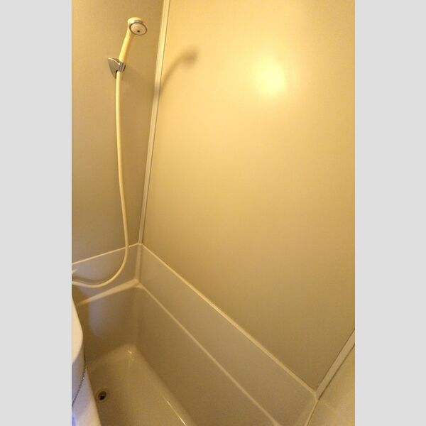 バス (シャワー)
