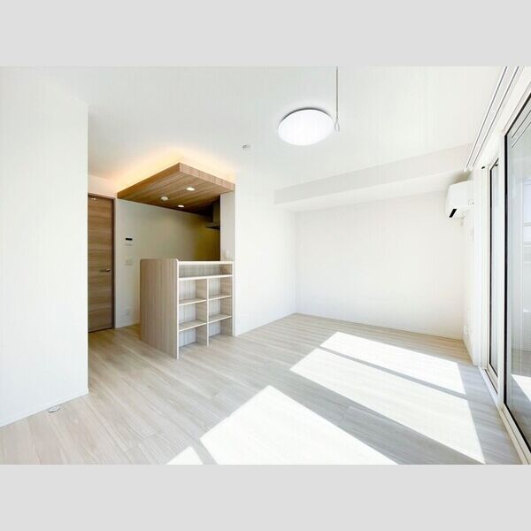 居室・リビング (LDK11.7帖)