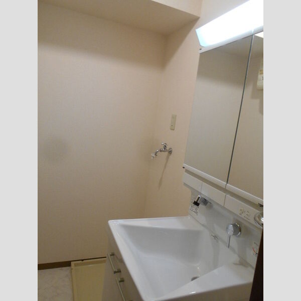 洗面所 (洗髪洗面化粧台)