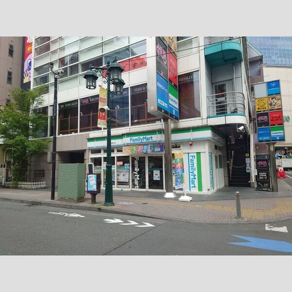 その他 (ファミリーマート南口駅前店(210m))
