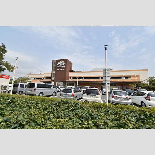 現地周辺 (スーパーアルプス日野店(825m)I)