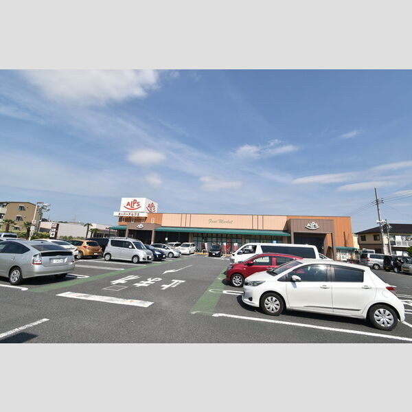 現地周辺 (スーパーアルプス豊田南店(641m))