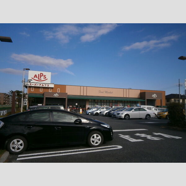 現地周辺 (スーパーアルプス豊田南店(531m))
