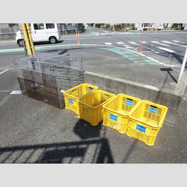 現地周辺 (入居者専用ゴミ置き場)