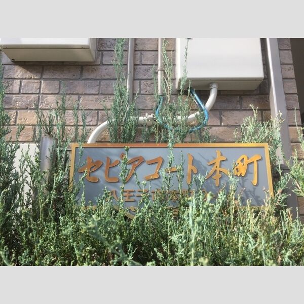 現地周辺 (看板)