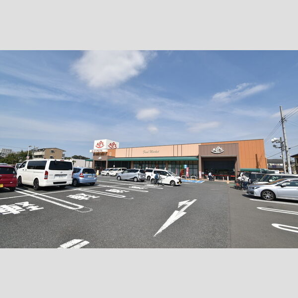 現地周辺 (スーパーアルプス豊田南店(503m))