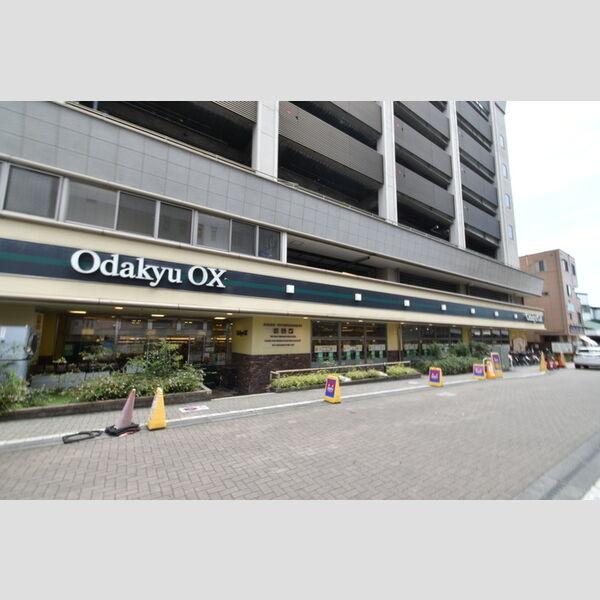 現地周辺 (OdakyuOX鶴川店)