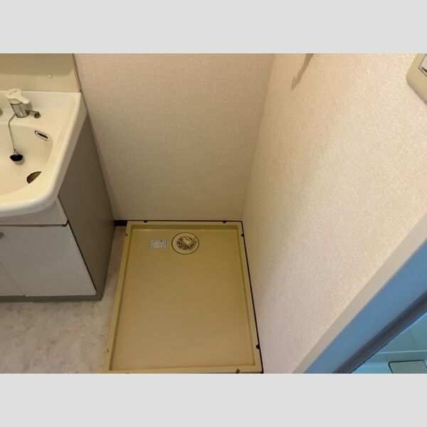 その他 (室内洗濯機置場)