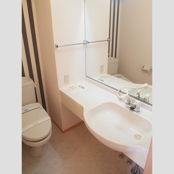 洗面所 (洗髪洗面化粧台)