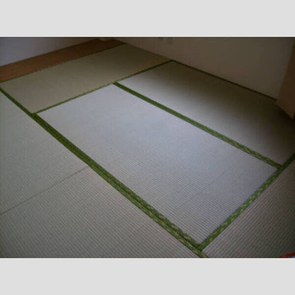 その他 (シルクトゥリー)