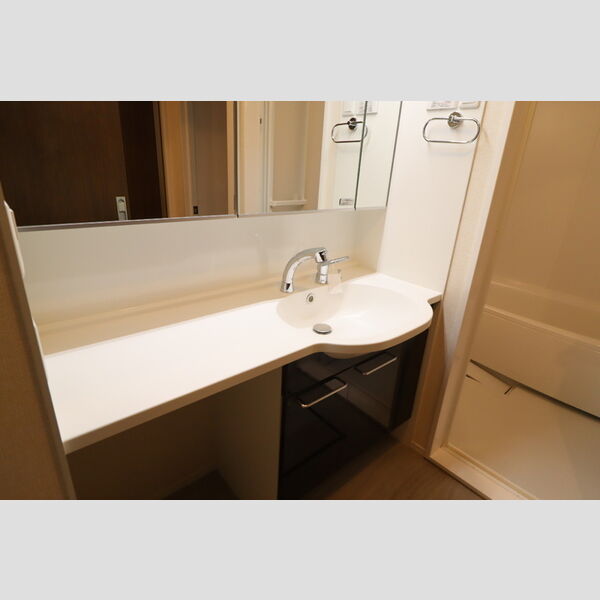 洗面所 (洗面所)