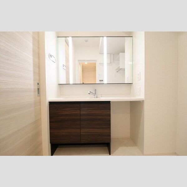 その他 (洗髪洗面化粧台)