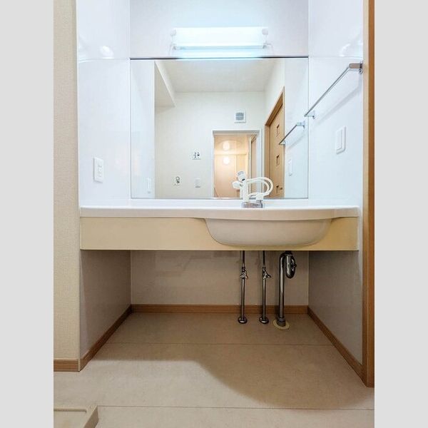 その他 (洗髪洗面化粧台)