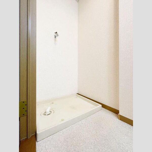 その他 (室内洗濯機置場)