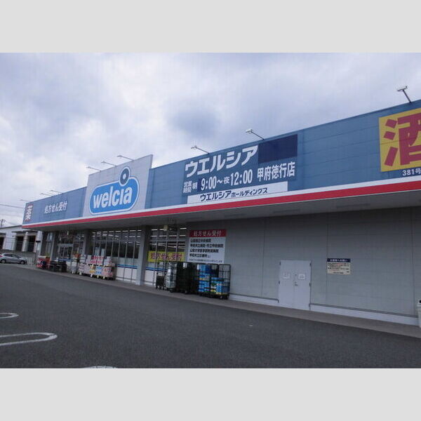 現地周辺 (ウエルシア甲府徳行店 320m)