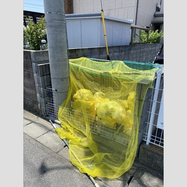 現地周辺 (敷地内ゴミ置き場)