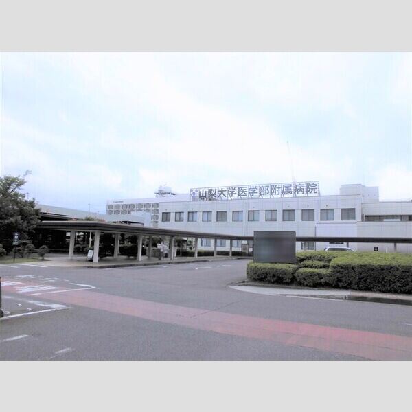 現地周辺 (国立大学法人山梨大学医学部附属病院)