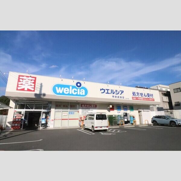 現地周辺 (ウエルシア甲府武田店)