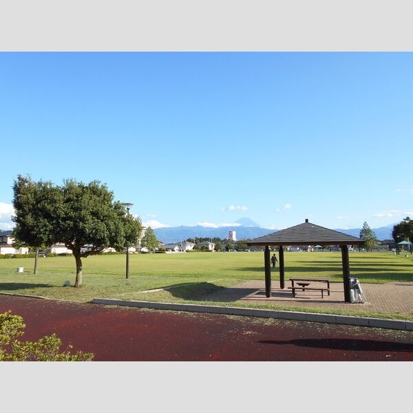 現地周辺 (千塚公園)