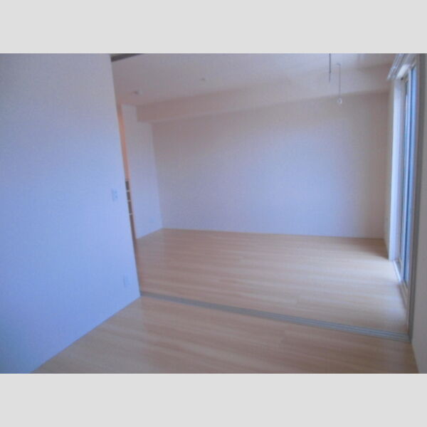 その他 (洋室～リビング)