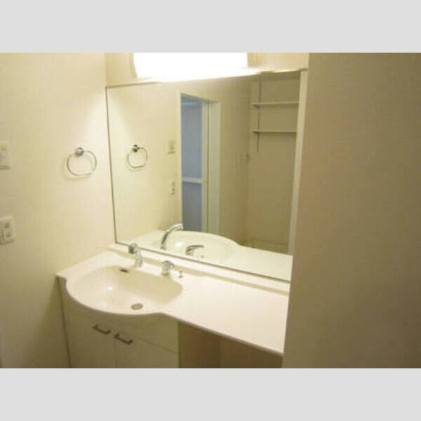 その他 (洗髪化粧台)