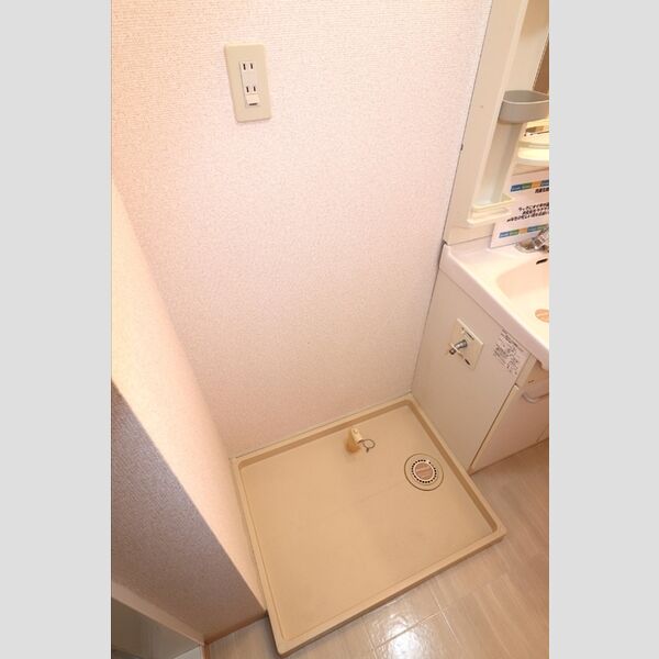 その他 (室内洗濯機置き場)