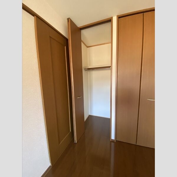 収納 (クローゼット(北側洋室))