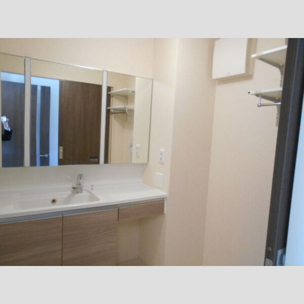 洗面所 (洗髪洗面化粧台)