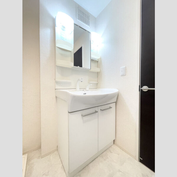 洗面所 (洗髪洗面化粧台)