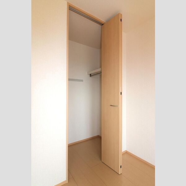 収納 (南側洋室クローゼット)