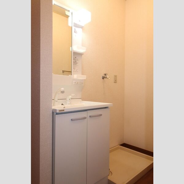 洗面所 (洗髪洗面化粧台と室内洗濯機置き場)